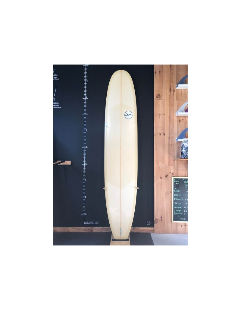 Cece surfboard  9’5"