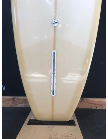 Cece surfboard  9’5"