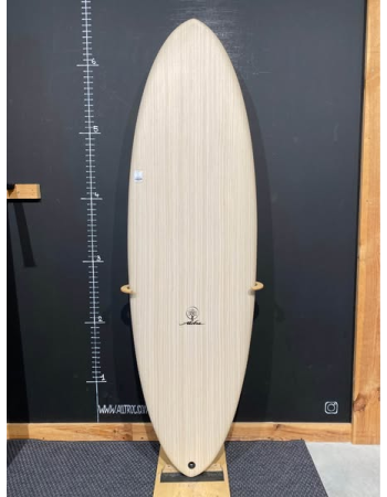 Aloha  Skegg  6’4"